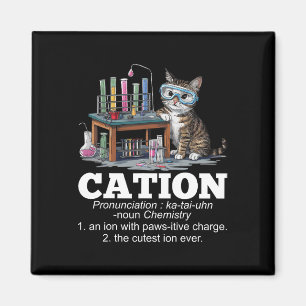 Cation Chemistry Humor Science Teacher Cat Pun Fun Magnet