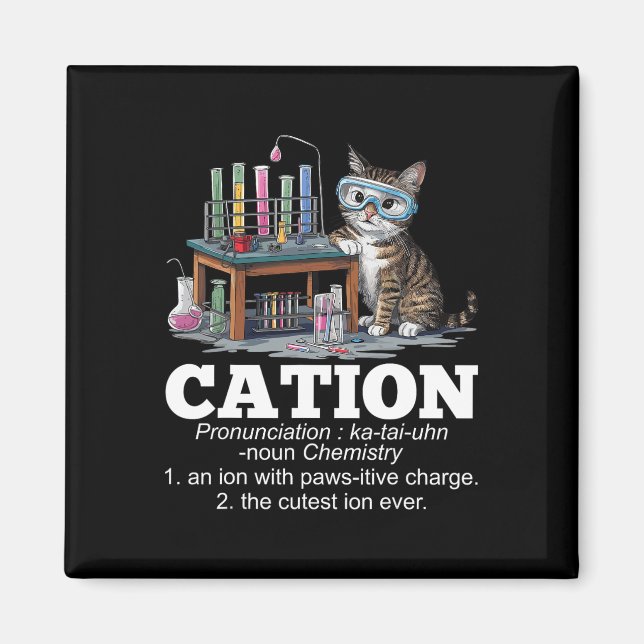 Cation Chemistry Humor Science Teacher Cat Pun Fun Magnet (Front)