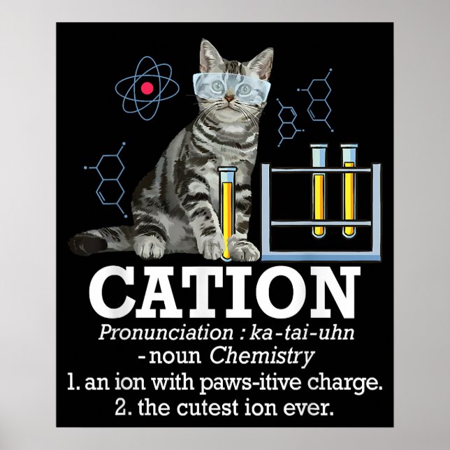 Cation Fun Chemistry Humor Science Teacher Cat Pun Poster (Front)