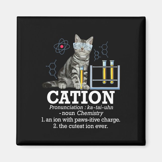 Cation - Funny Chemistry Humor Science Teacher Cat Magnet (Front)