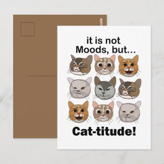 Catitude Cat Moods Cat Lovers Postcard