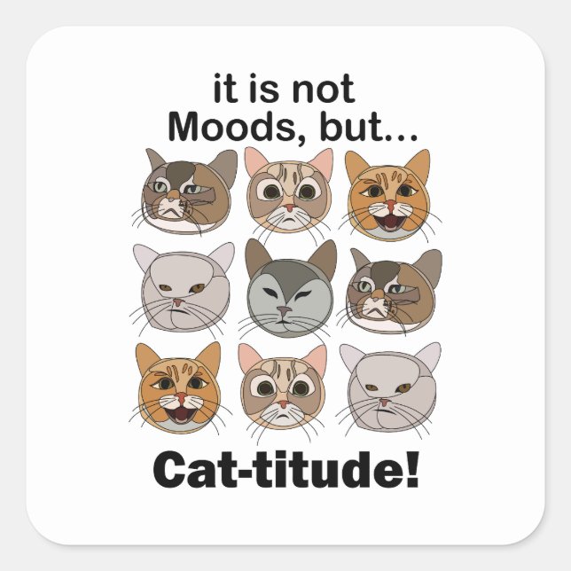 Catitude Cat Moods Cat Lovers Square Sticker (Front)
