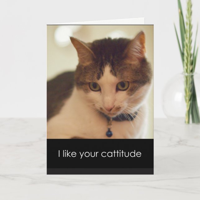 Catitude Valentine's Day Card (Front)