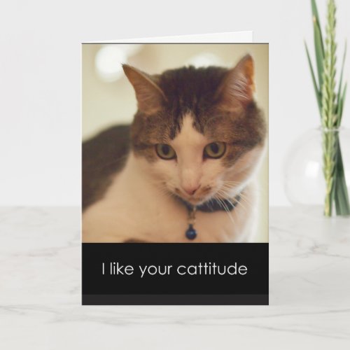 Catitude Valentines Day Card