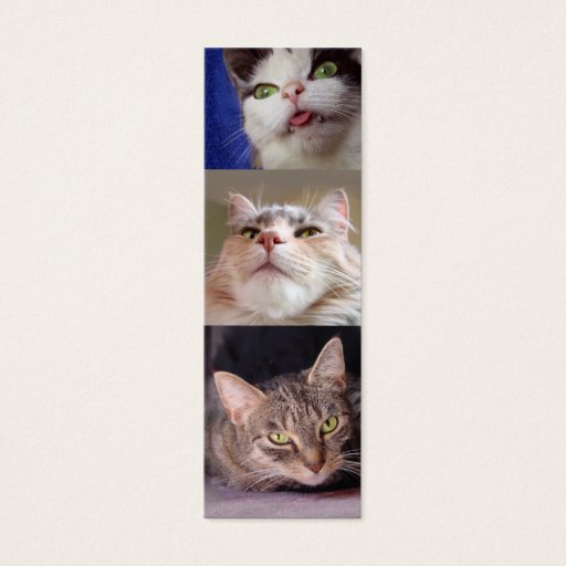 Customizable Catlovers' Bookmark Business Cards