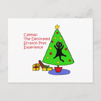 Catmas Experience Postcard