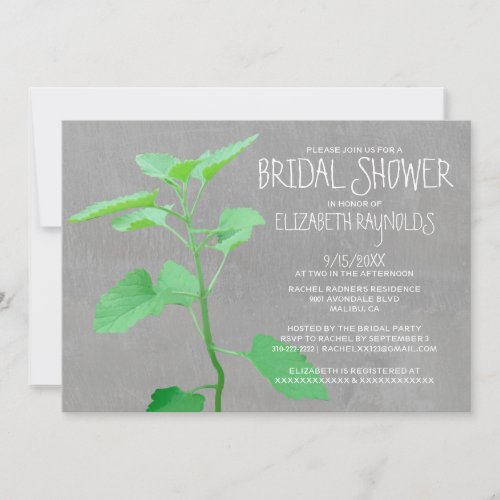 Catmint Bridal Shower Invitations