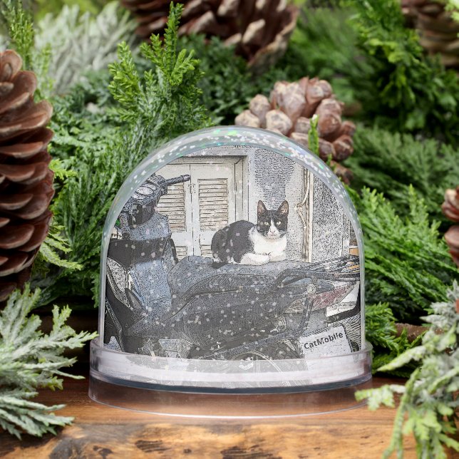 CatMobile/cat on motorcycle seat Snow Globe (Winter)