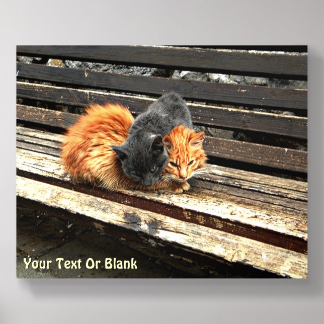 Catnap Acrylic Photo Tile (Front Set)