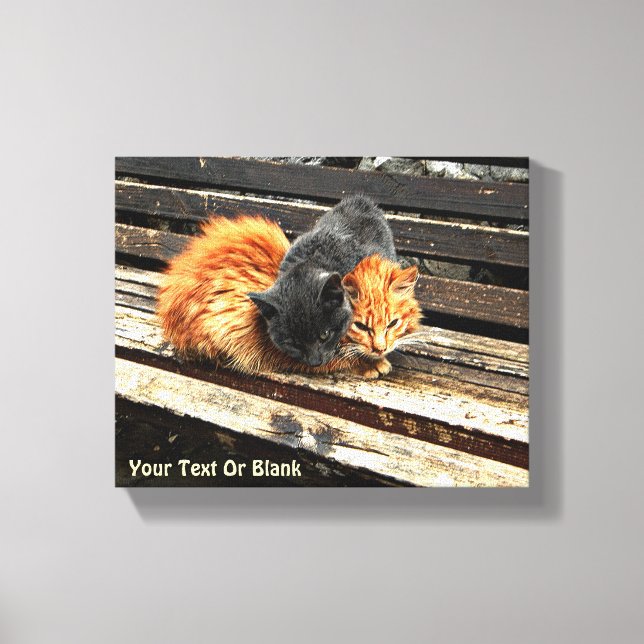 Catnap Cuties Canvas Print (Front)