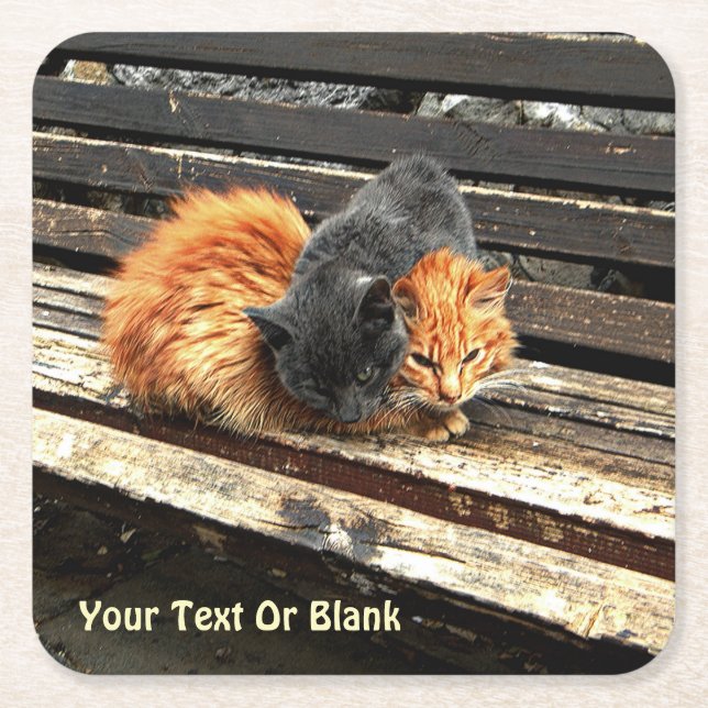 Catnap Cuties Square Paper Coaster (Front)