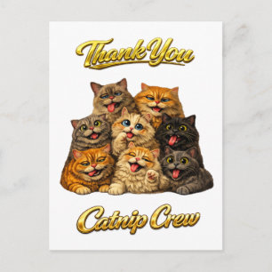 Catnip Crew Cute Silly Goofy Cat Faces Thank You Postcard