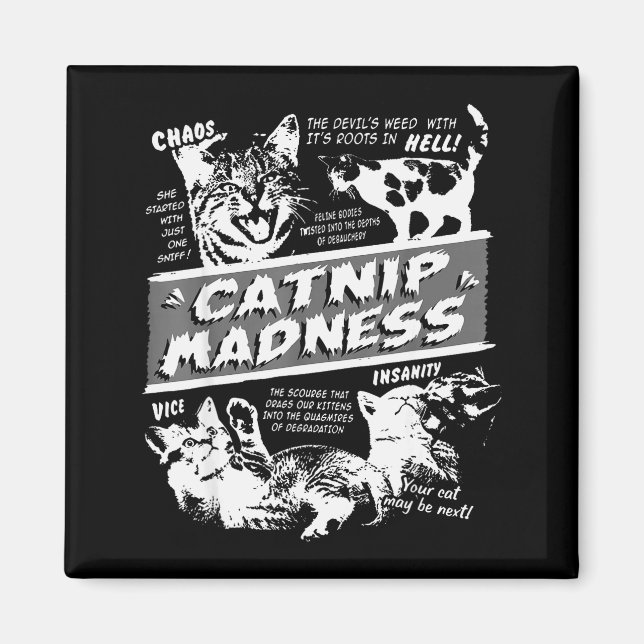 Catnip Madness Cute Kitten Funny Cat Pet Humor  Magnet (Front)