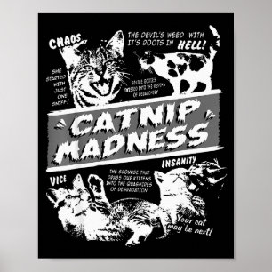Catnip Madness Cute Kitten Funny Cat Pet Humor Poster