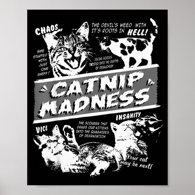 Catnip Madness Cute Kitten Funny Cat Pet Humor  Poster (Front)