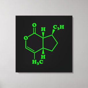 Catnip Nepetalactone Molecular Chemical Formula Canvas Print