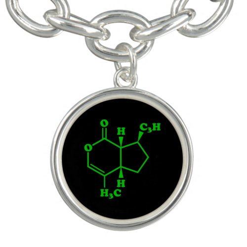 Catnip Nepetalactone Molecular Chemical Formula Charm Bracelet