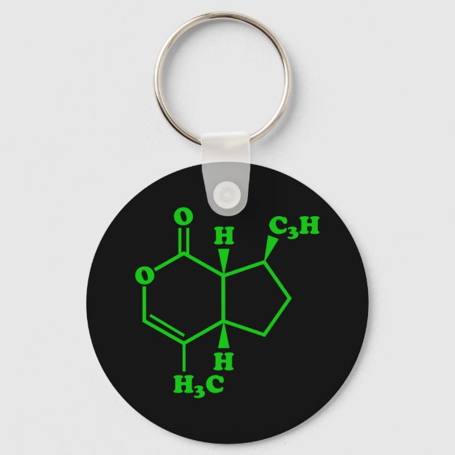Catnip Nepetalactone Molecular Chemical Formula Keychain (Front)
