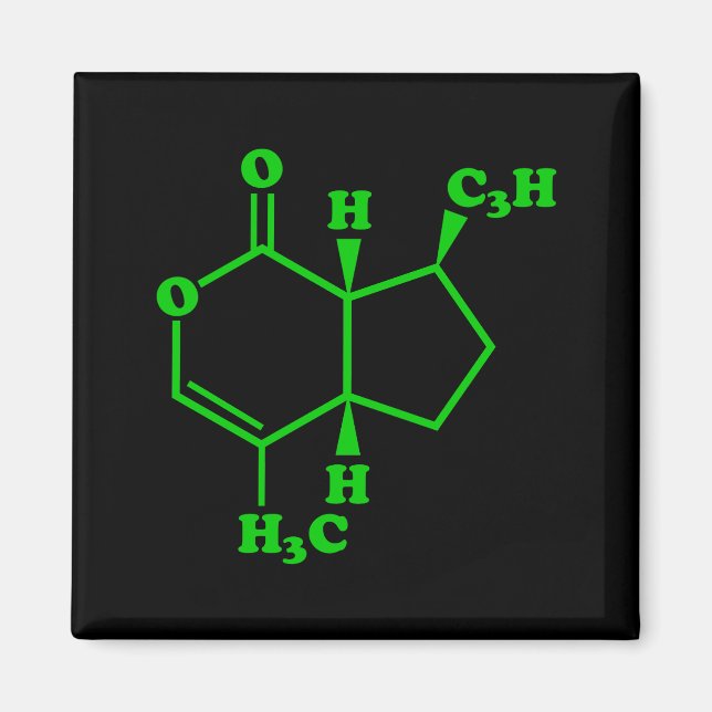 Catnip Nepetalactone Molecular Chemical Formula Magnet (Front)