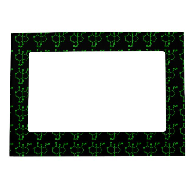 Catnip Nepetalactone Molecular Chemical Formula Magnetic Photo Frame (Front)