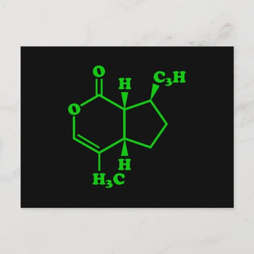 Catnip Nepetalactone Molecular Chemical Formula Postcard