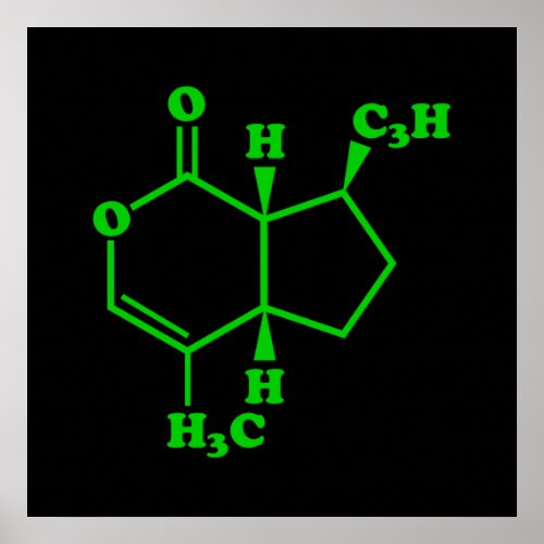 Catnip Nepetalactone Molecular Chemical Formula Poster