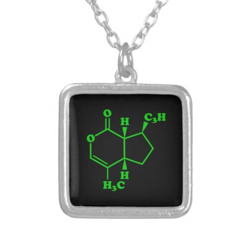 Catnip Nepetalactone Molecular Chemical Formula Silver Plated Necklace