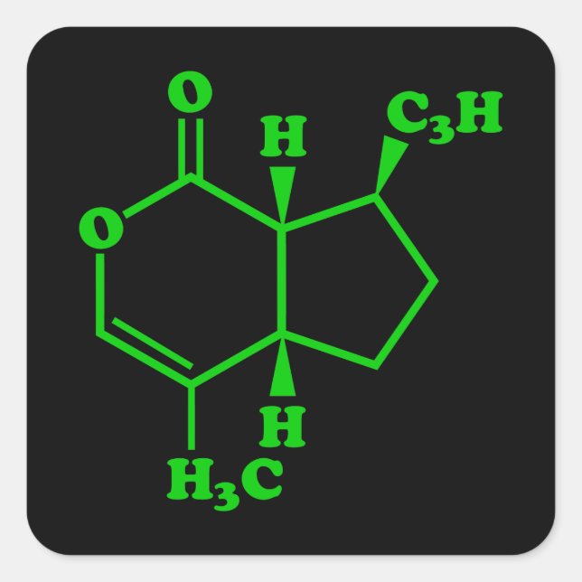 Catnip Nepetalactone Molecular Chemical Formula Square Sticker (Front)