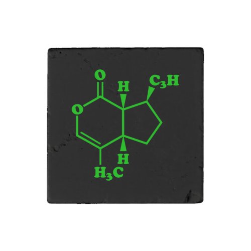 Catnip Nepetalactone Molecular Chemical Formula Stone Magnet