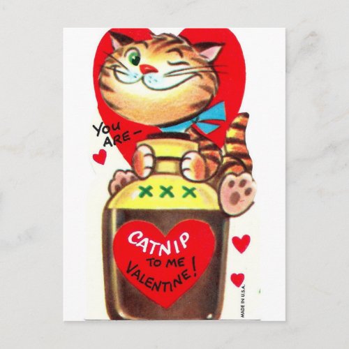 Catnip Vintage Valentine Postcard