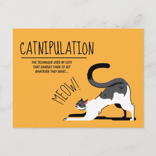 Catnipulation Cat Lovers Meow Design Postcard