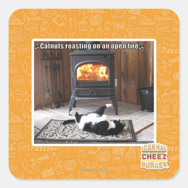 Catnuts roasting square sticker (Front)