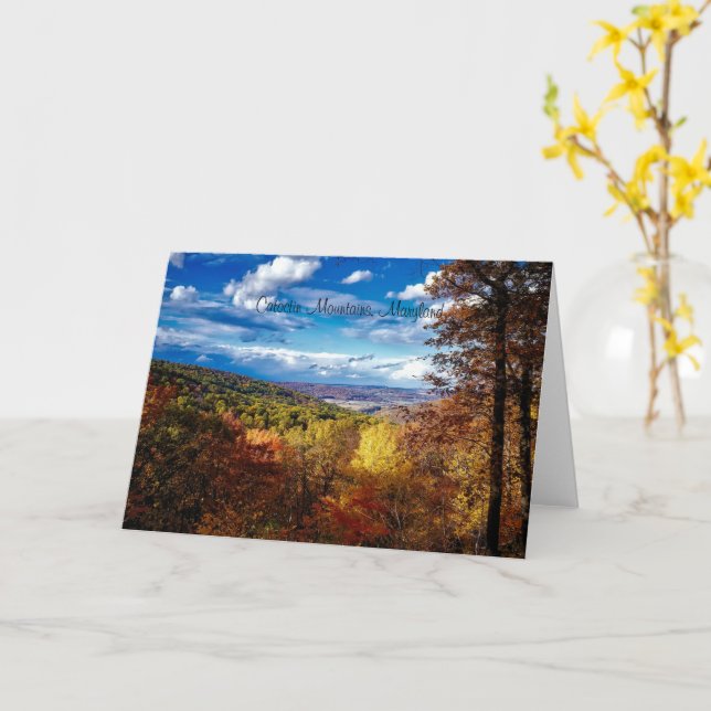 Catoctin Mountains, Maryland Card (Yellow Flower)