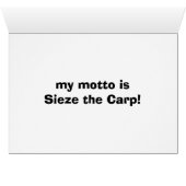 cats 002 (Inside Horizontal (Bottom))