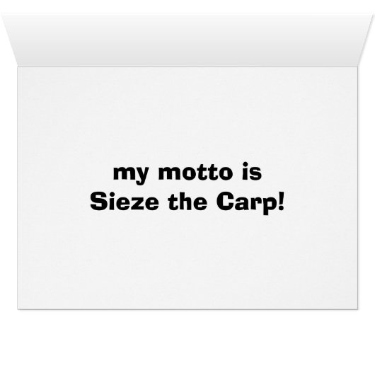 cats 002 (Inside Horizontal (Bottom))