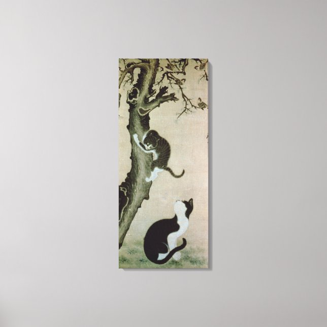Cats, 17th century (ink on silk) canvas print (Front)