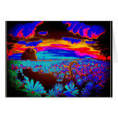 Cats 2 (Front Horizontal)