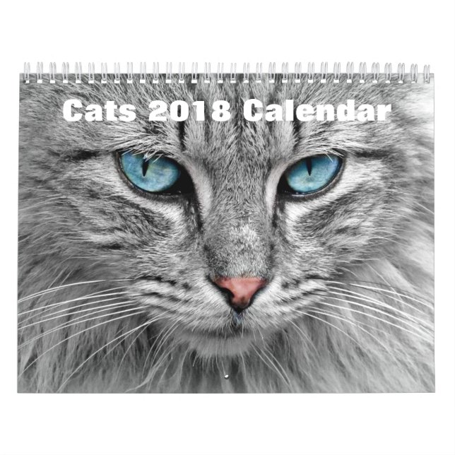 Cats 2017 calendar (Cover)
