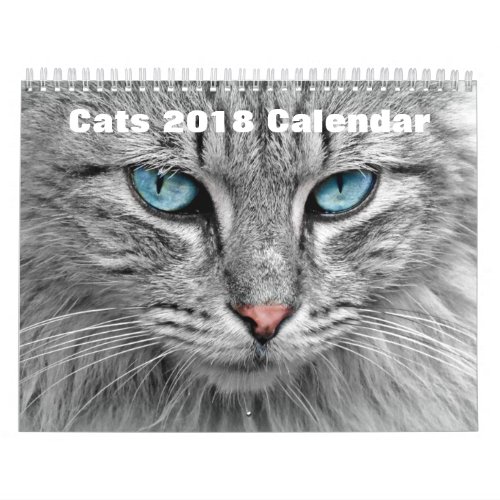 Cats 2017 calendar