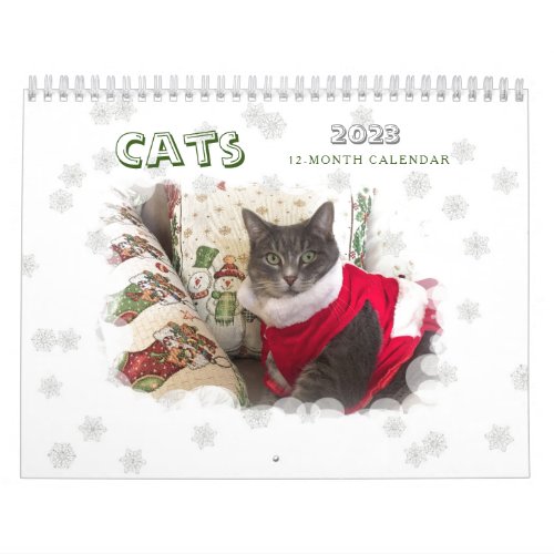 Cats 2023 Calendar