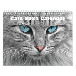 Cats 2024 calendar