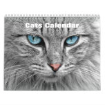 Cats 2026 calendar