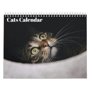 Cats 2027 Calendar