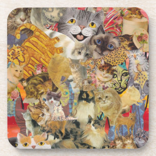 Cats a Plenty Coasters