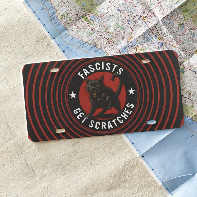 Cats Against Fascists License Plate (In Situ)