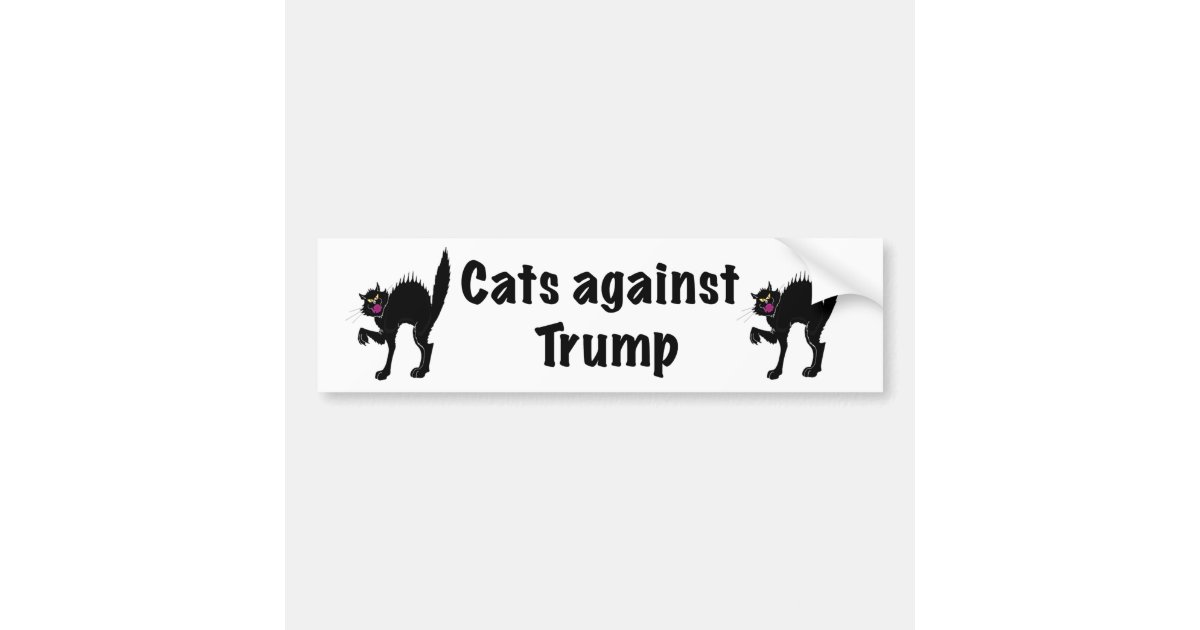 Cats against Trump Bumper Sticker Zazzle Cats against Trump Bumper Sticker Zazzle