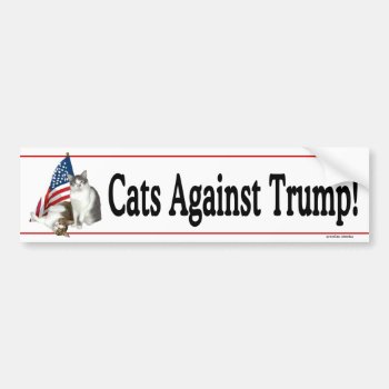 "cats Against Trump" Bumpersticker Bumper Sticker by TabbyHallDesigns at Zazzle