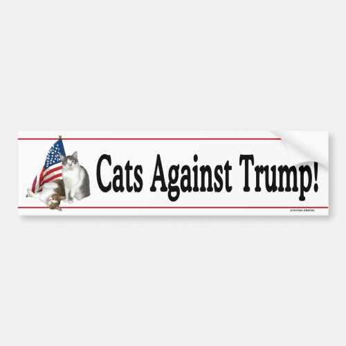 Cats Against Trump Bumpersticker Bumper Sticker