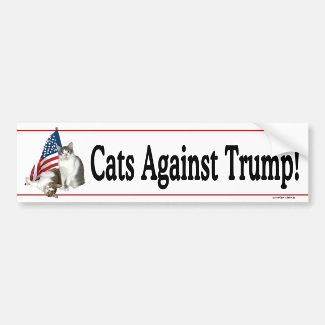 "Cats Against Trump" Bumpersticker Bumper Sticker (Front)