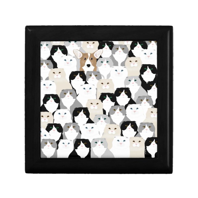 Cats and Dog Gift Box (Front)